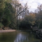 RopeSwing