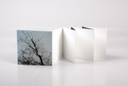 EnoughRope_03